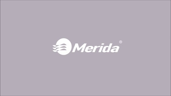 Диспенсер для мыла Merida Stella Maxi DSM203 матовый